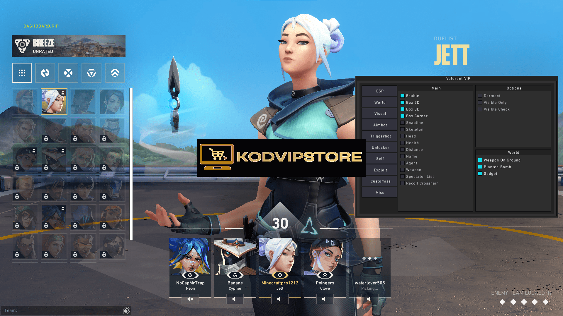 KodVipStore